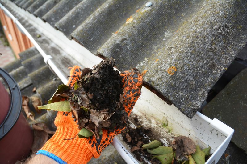 Cleaned Gutter System