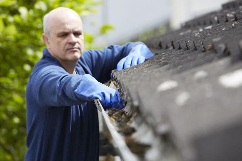 Spring Gutter Maintenance